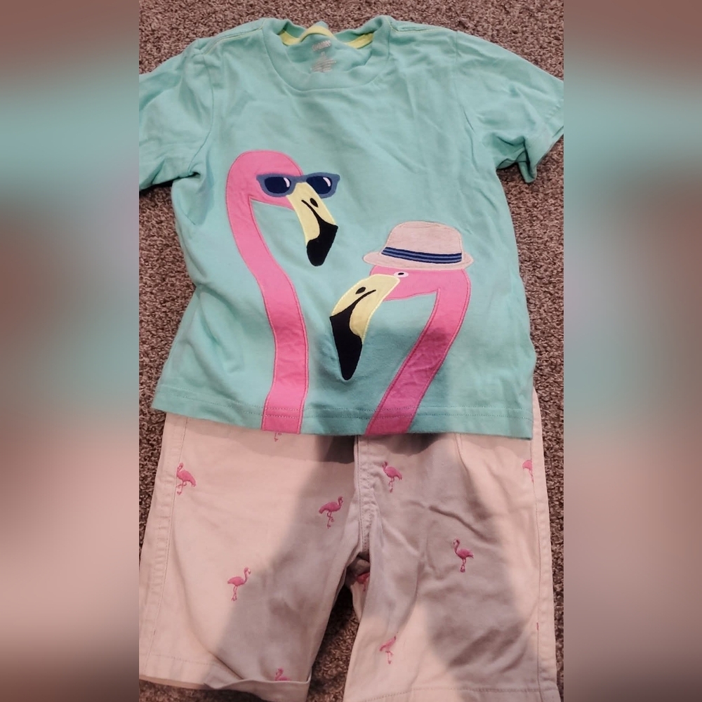 Gymboree Green and Pink Flamingo Pajama Set